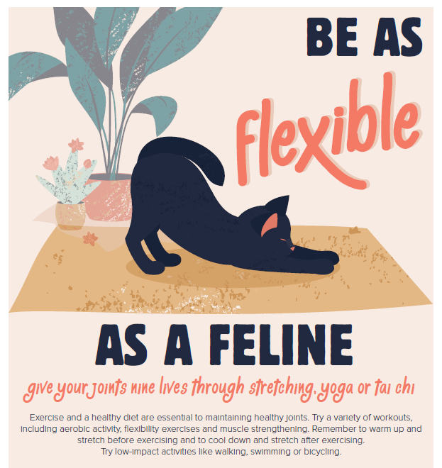 Stay as Flexible as a Feline